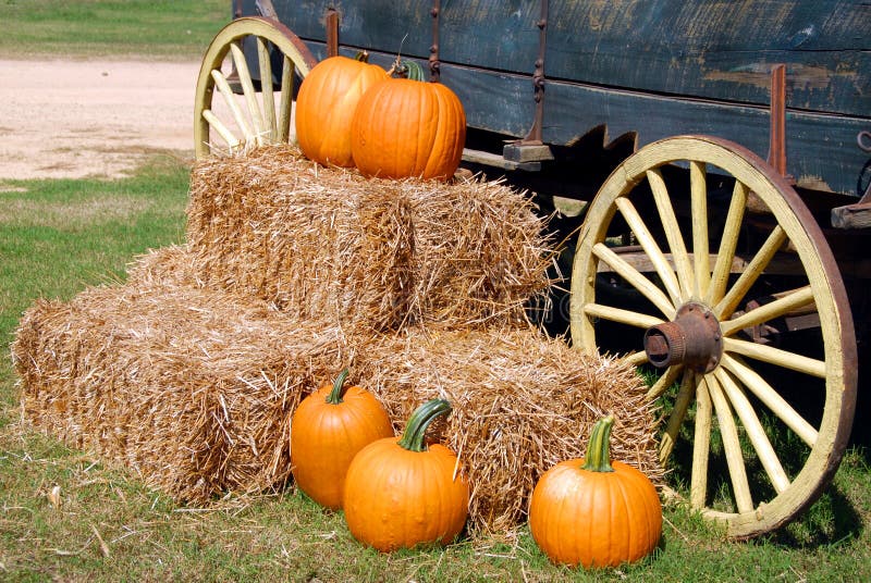 Pumpkins on hay stack