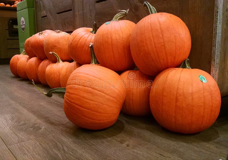 Pumpkin 4K wallpapers for your desktop or mobile screen free and easy to  download
