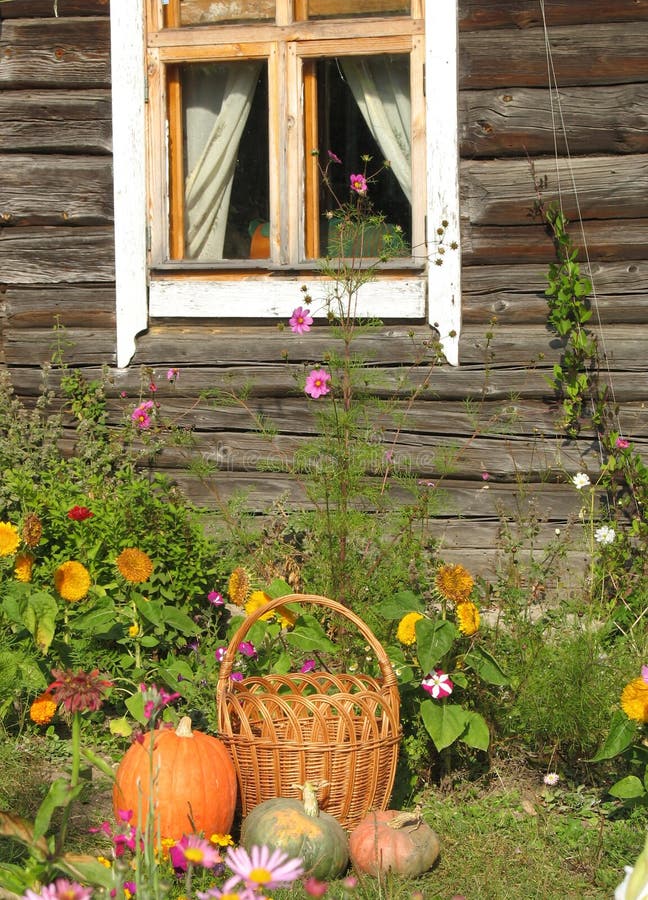 Pumpkins at the House