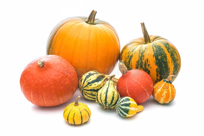 Pumpkins isolated on a white background