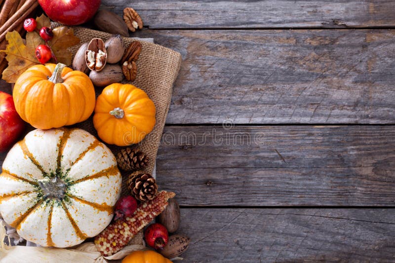 Pumpkins, nuts, indian corn and apples