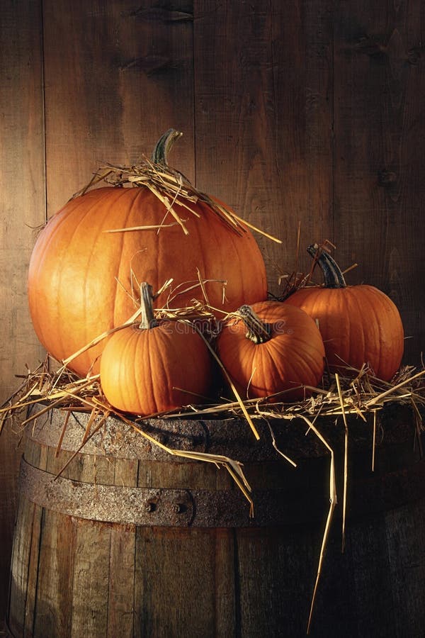 Pumpkins on old barrel