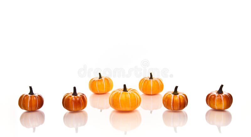Pumpkins in rows