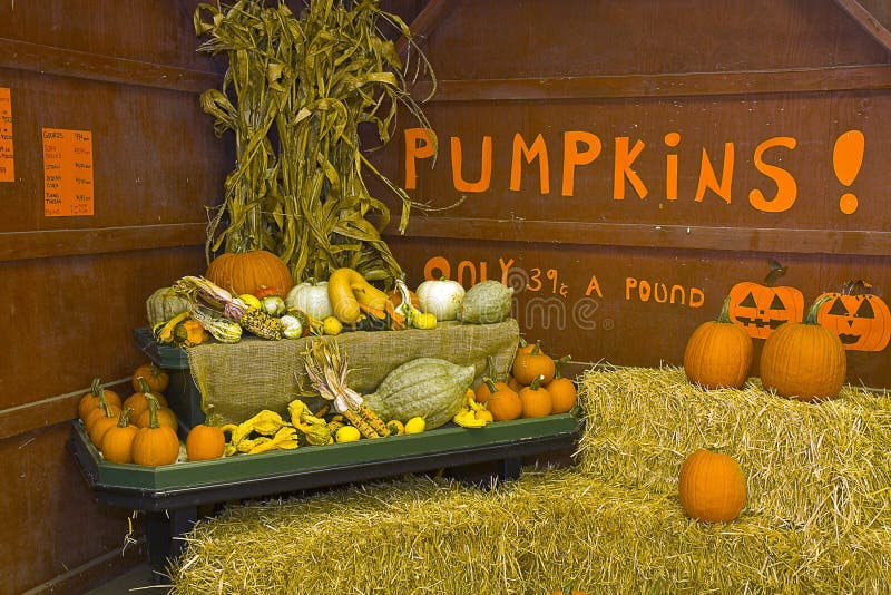 Pumpkins for Sale stock image. Image of produce, seasonal 16462239