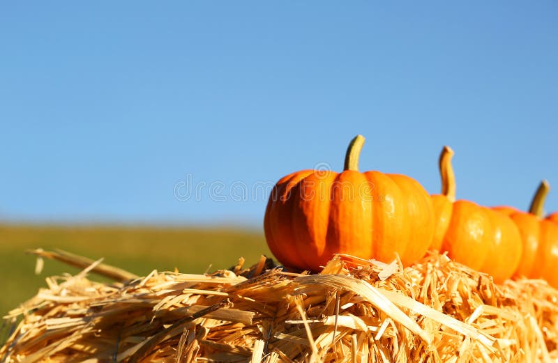 Decorative Straw Bale Royalty-Free Images, Stock Photos & Pictures