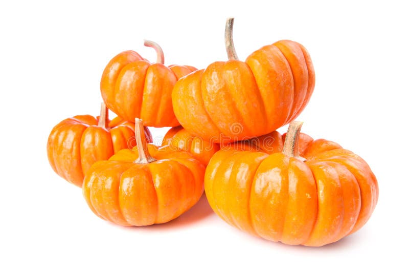 Pumpkins on a white background