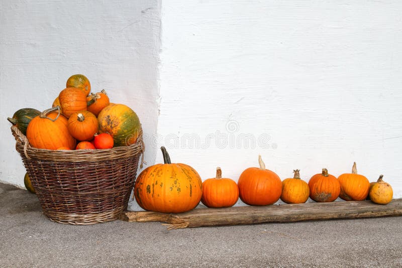 Pumpkins in a wicker basket and a row. Outdoors image in the autumn season royalty free stock photo Pumpkins in a wicker basket and a row. Outdoors image in the autumn season royalty free stock photo
