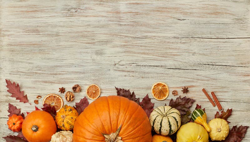 Thanksgiving background with pumpkins