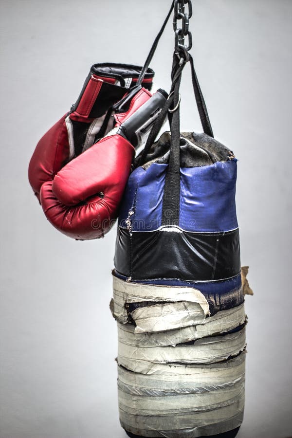 Punching Bag and Boxing Gloves Photograph Stock Photo Image of