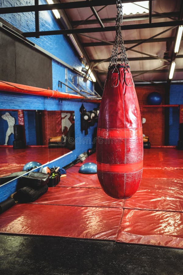 Punching Bag Ceiling Stock Photos Free & RoyaltyFree Stock Photos