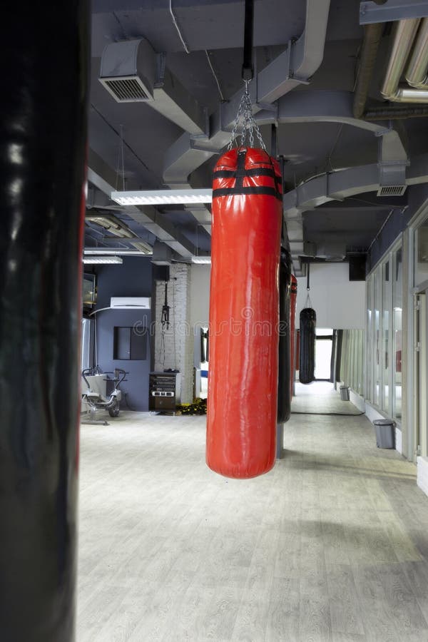 Punching bags in a gym stock image. Image of equipment 54782771