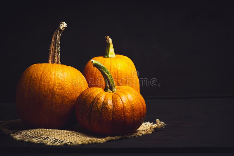 Punkins stock image. Image of lined, pumkins, closeup - 93017617