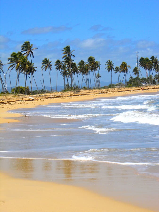 Punta Cana beach stock photo. Image of ocean, tropical - 21751422