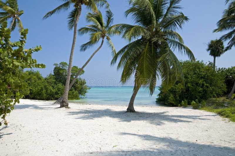 Punta Cana beach in the Dominican Republic. Punta Cana beach in the Dominican Republic.