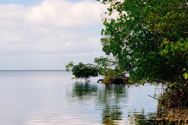 Punta Gorda Harbor and Peace River Stock Image Image of boat