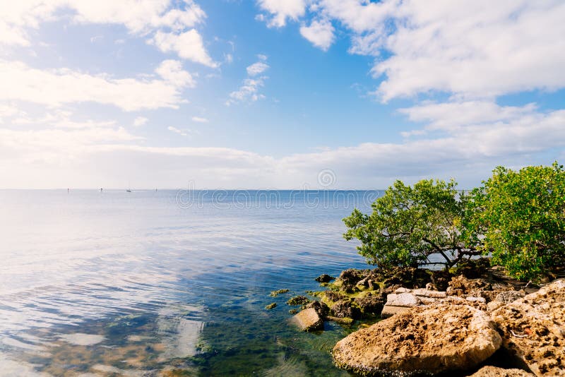 Punta Gorda Harbor and Peace River Stock Photo Image of gorda