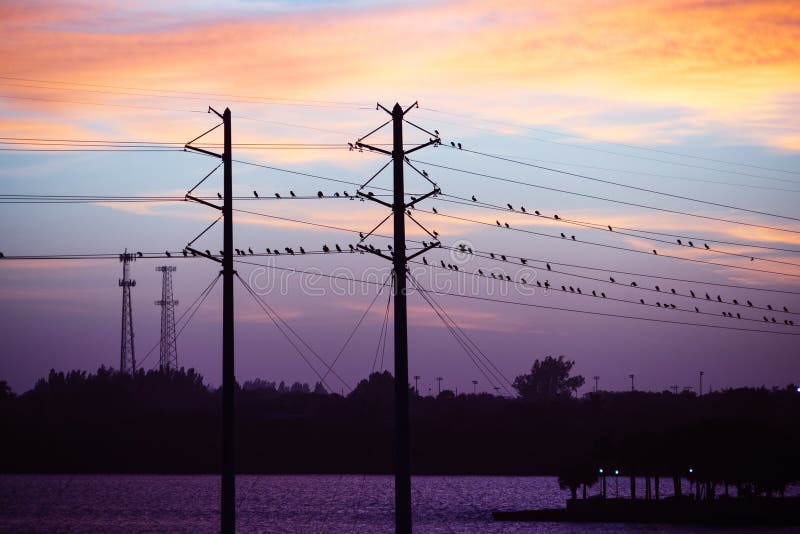 Punta Gorda Harbour and Peace River Stock Photo Image of fort