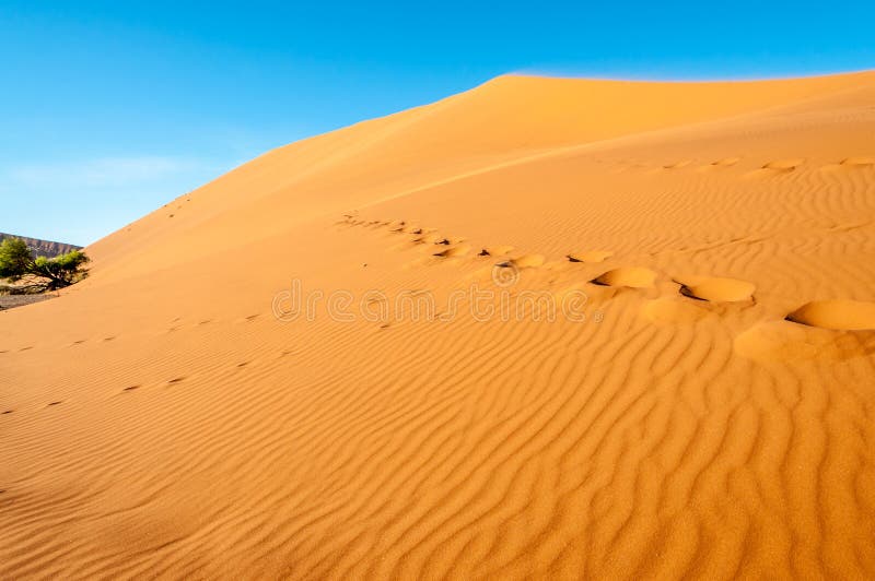Punti del piede nel deserto