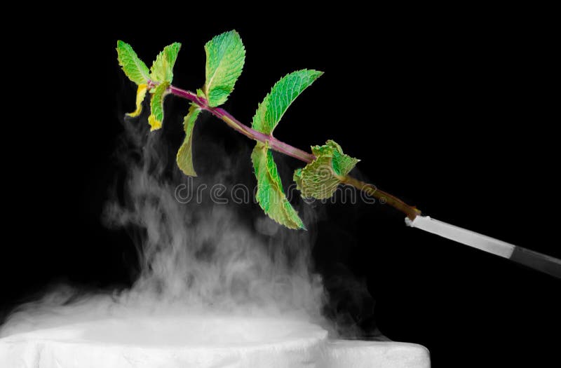 Puntilla de la menta fresca sumergida en nitrógeno líquido imagen de archivo Puntilla de la menta fresca sumergida en nitrógeno líquido imagen de archivo