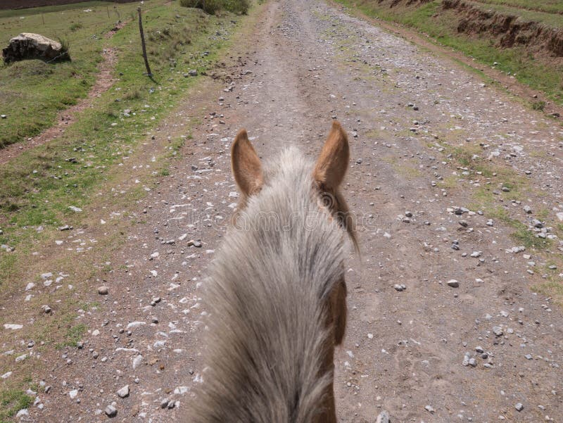 Punto de vista del caballo de montar a caballo foto de archivo libre de regalías Punto de vista del caballo de montar a caballo foto de archivo libre de regalías