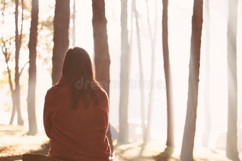 Back view of young woman sitting in the nature park with freshness in the morning with sunlight in vintage color tone. Back view of young woman sitting in the nature park with freshness in the morning with sunlight in vintage color tone