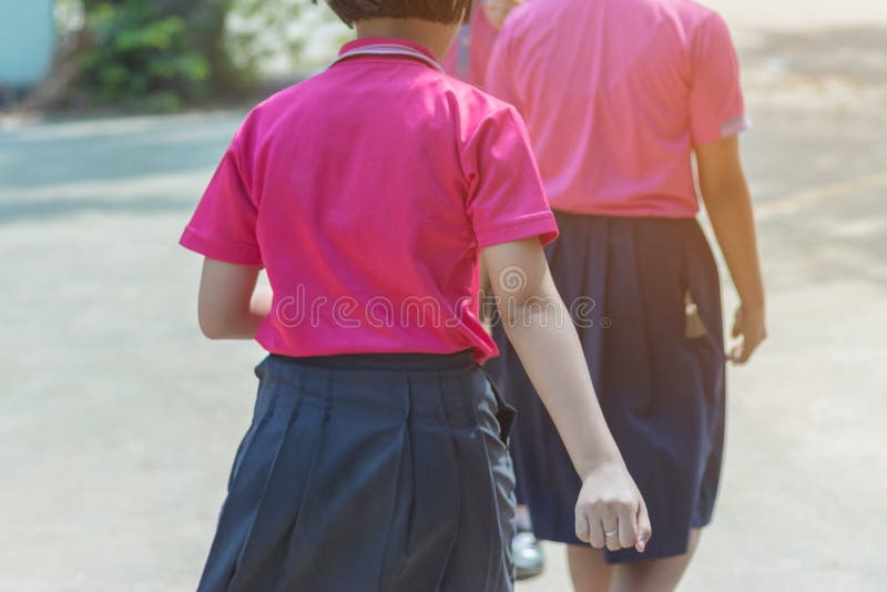 Punto di vista posteriore delle studentesse primarie di felicit? in camicia rosa e nella passeggiata blu della gonna alle aule immagine stock Punto di vista posteriore delle studentesse primarie di felicit? in camicia rosa e nella passeggiata blu della gonna alle aule immagine stock