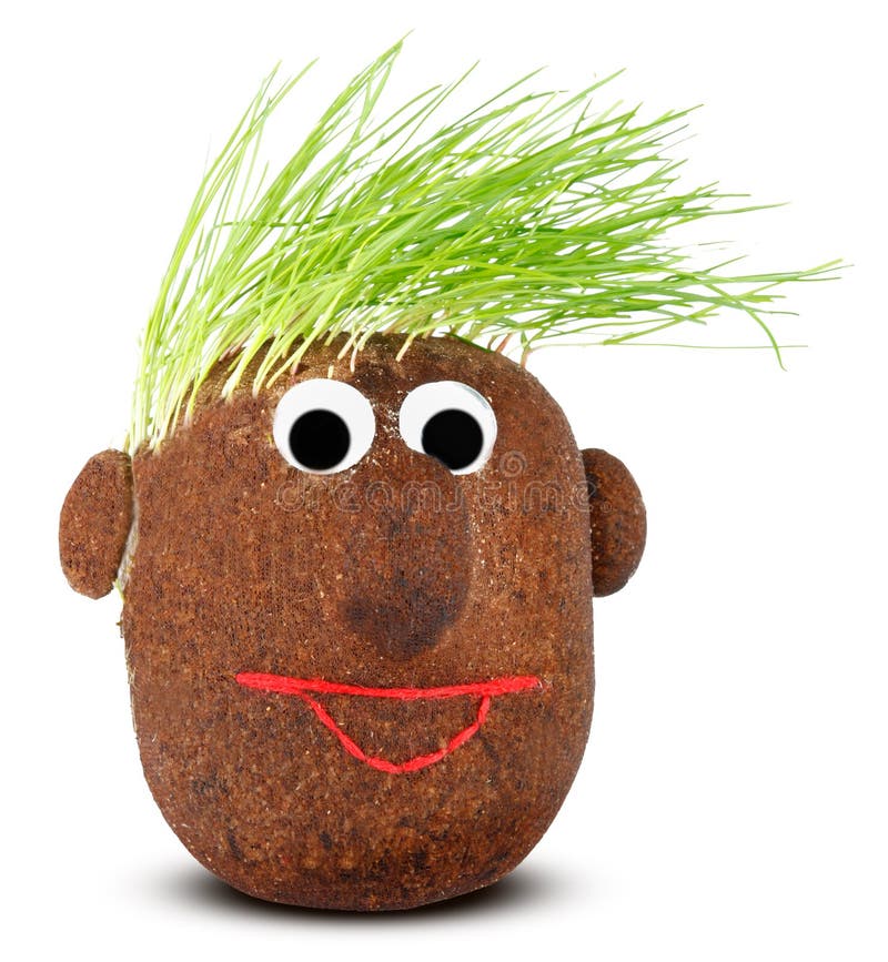Puppet with Ground Wheat Sprouts for Hair. Stock Photo - Image of sowing, cultivation: 36549498 Puppet with Ground Wheat Sprouts for Hair. Stock Photo - Image of sowing, cultivation: 36549498