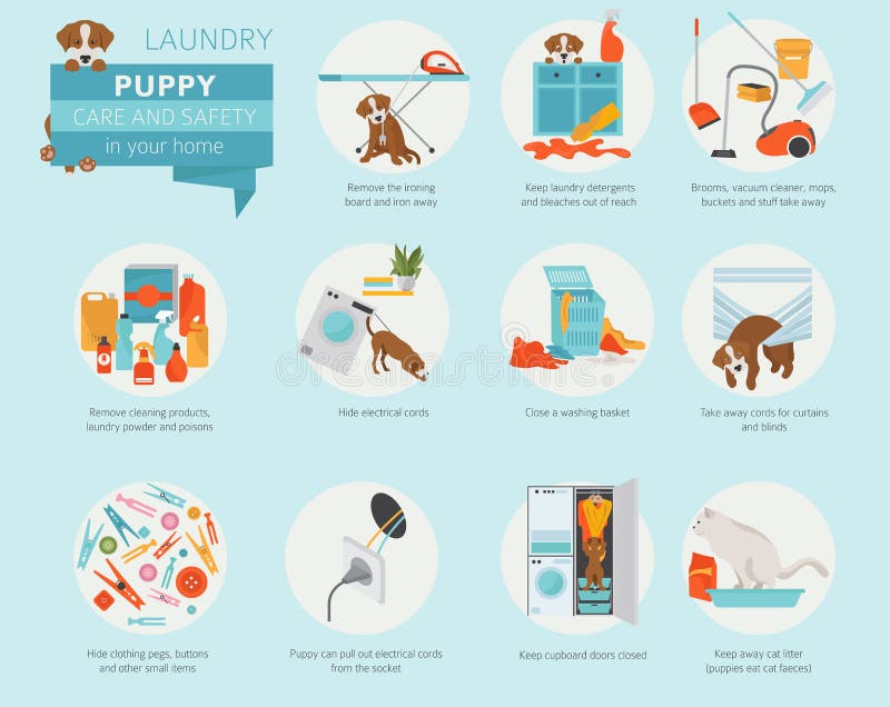 Puppy care and safety in your home. Laundry. Pet dog training in vector illustration Puppy care and safety in your home. Laundry. Pet dog training in vector illustration