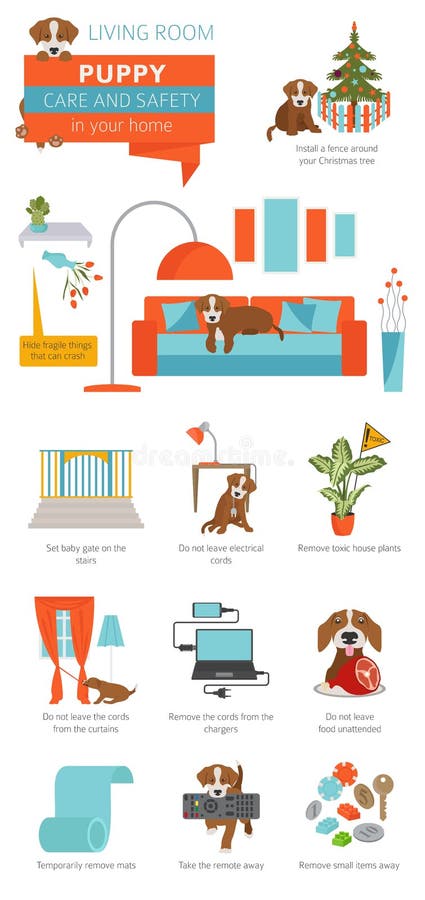 Puppy care and safety in your home. Living room. Pet dog training infographic design royalty free illustration Puppy care and safety in your home. Living room. Pet dog training infographic design royalty free illustration