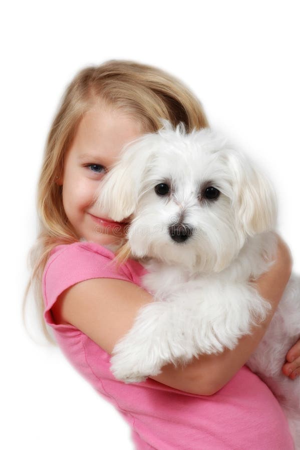 Iubire cățeluș royalty free stock photo