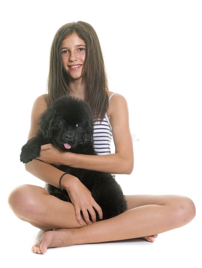 Puppy newfoundland dog and child stock images