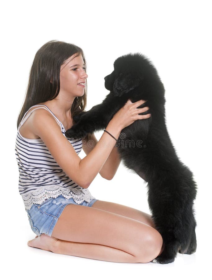 Puppy newfoundland dog and child stock images
