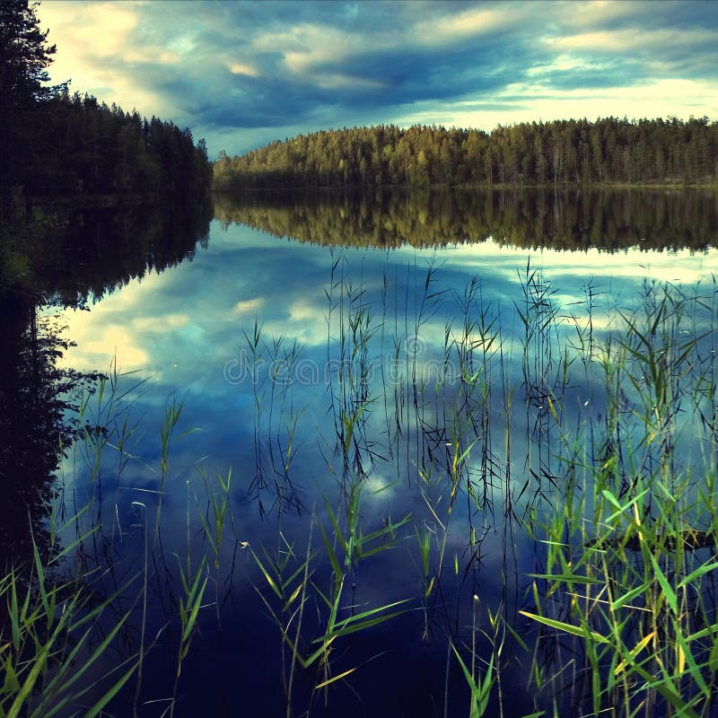 Pure nature in sweden stock image. Image of explore 5698967