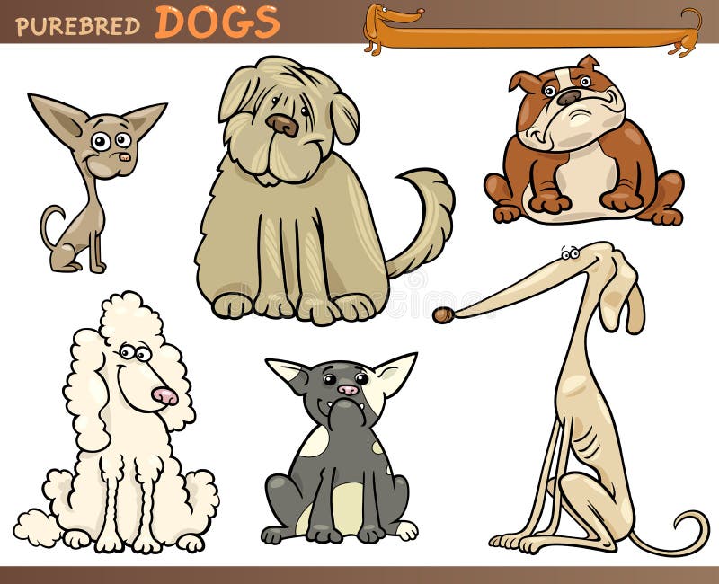 Latin American Dogs Comparação Tamanho Set Cartoon Vector Ilustração  vetor(es) de stock de ©Punnawich 388524646