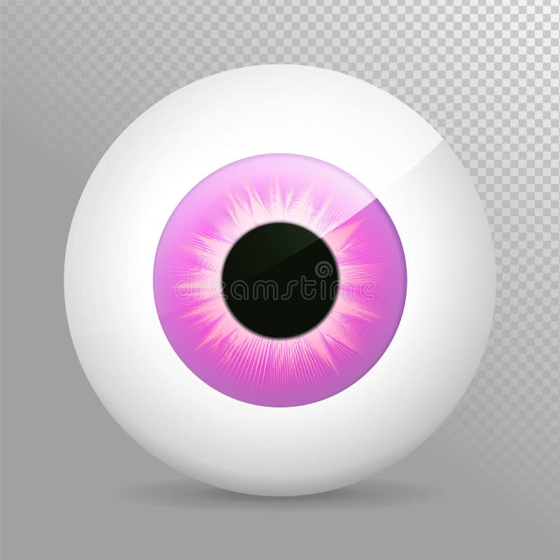 Purper oog, Realistische 3d violette oogappel vectorillustratie Echt menselijk iris, leerlings en ooggebied Pictogram, transparan royalty-vrije illustratie Purper oog, Realistische 3d violette oogappel vectorillustratie Echt menselijk iris, leerlings en ooggebied Pictogram, transparan royalty-vrije illustratie