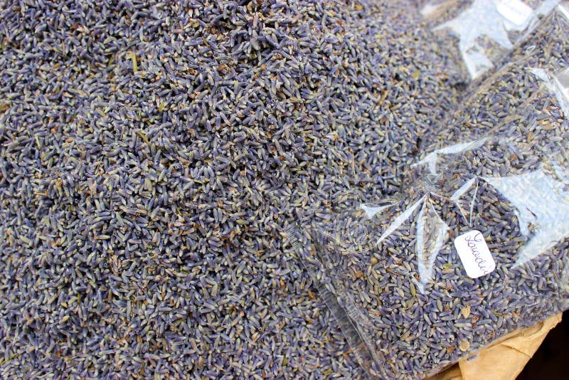 Purpere Lavendelzaden royalty-vrije stock afbeeldingen Purpere Lavendelzaden royalty-vrije stock afbeeldingen