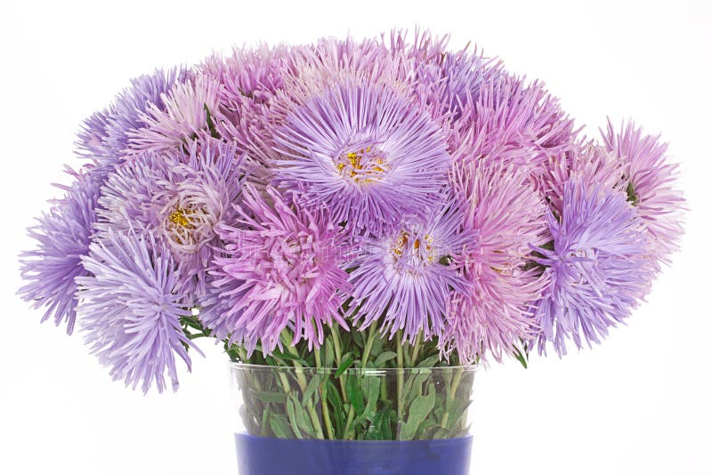 Purple Aster Flowers In Vase Stock Photography - Image: 21048512