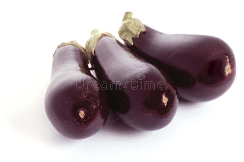 Purple aubergine stock photo. Image of plant, eggplant 12107968