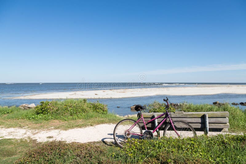 Purple Bike and Wood Bench by Beach