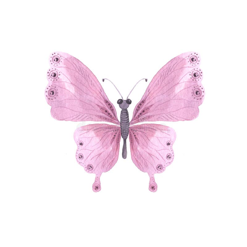 Purple Bright Watercolor Butterfly Stock Illustration - Illustration of  unusual, moth: 167321141