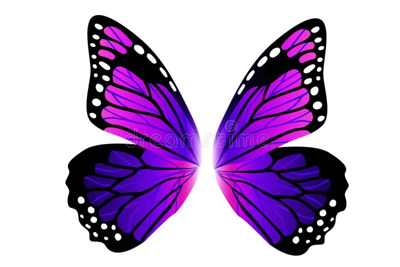 Purple butterfly logo on white background.