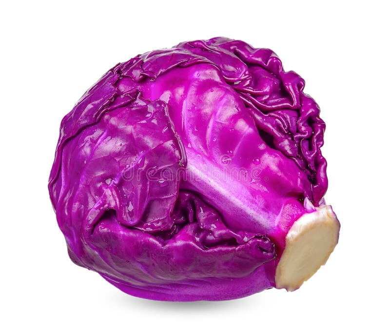 Purple Cabbage Isolated on White Clipping Path Stock Image Image of