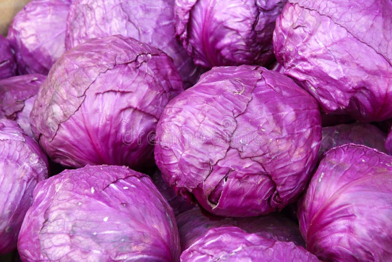 Purple cabbages stock photo. Image of cabbage, market 23765952