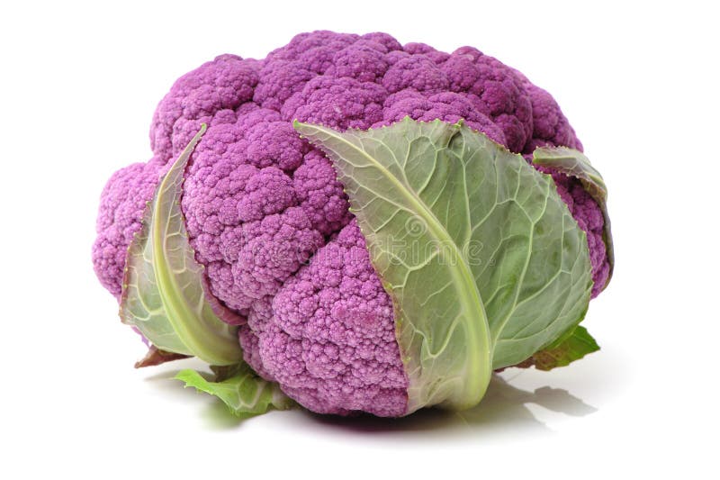 Purple cauliflower