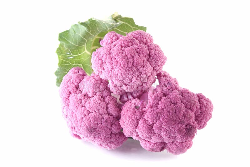 Lila cauliflower stock photo. Image of edible, vegetables 1431970