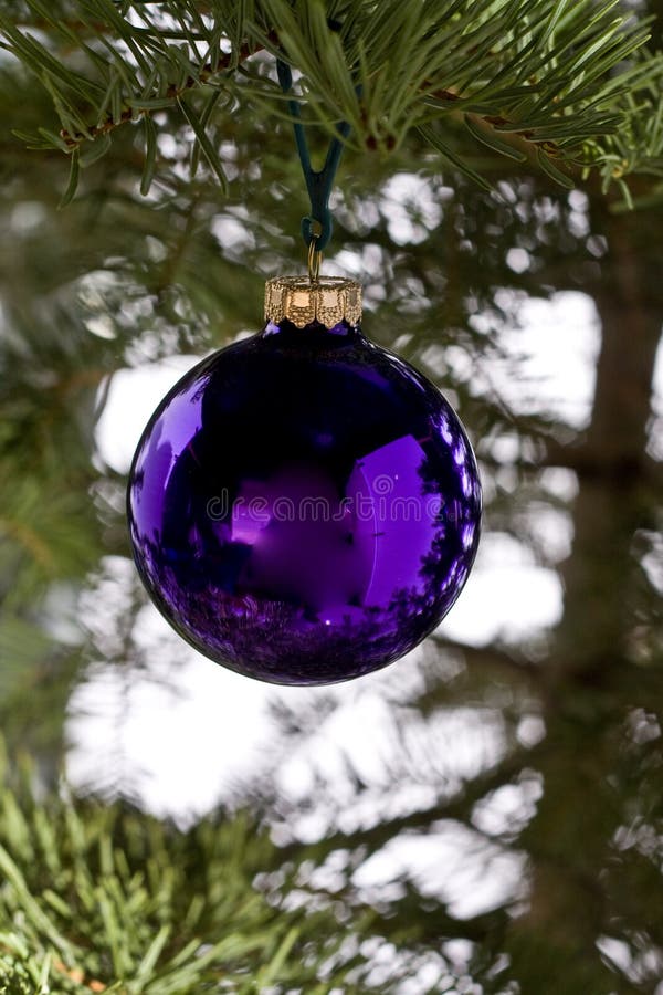 Purple Christmas Ball stock photo. Image of holidays, life 6592736