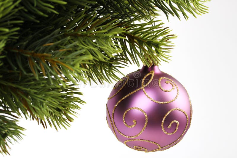 Purple christmas balls with gold lines hangin on c