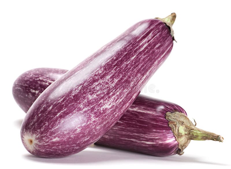 Purple Eggplant in the Garden Stock Photo Image of dish, green 233208802