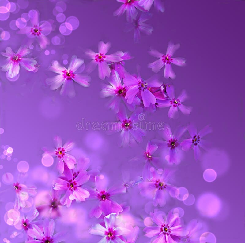 Purple floral background