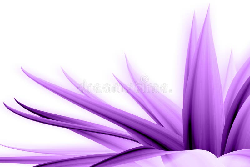 Purple flower